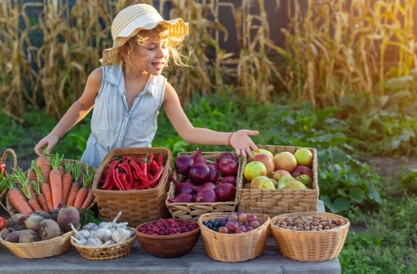 A little girl in the countryside looking at a table displaying the entire harvest of seasonal fruits and vegetables.