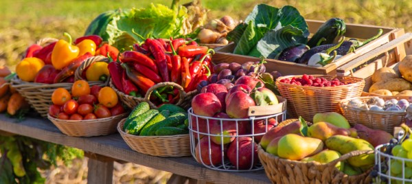 Focused view of each of the containers of seasonal fruits and vegetables placed on a table