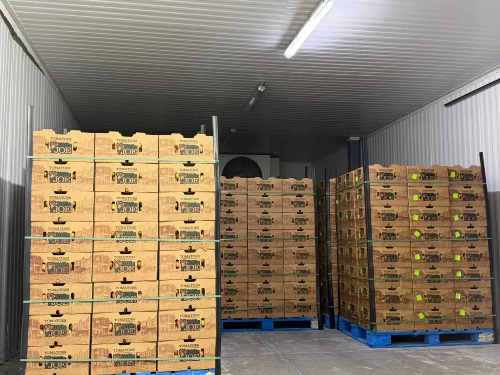 Frutas y verduras empaquetadas conservadas mediante la cadena de frío en frutas y verduras para mantener frescura, textura y sabor.