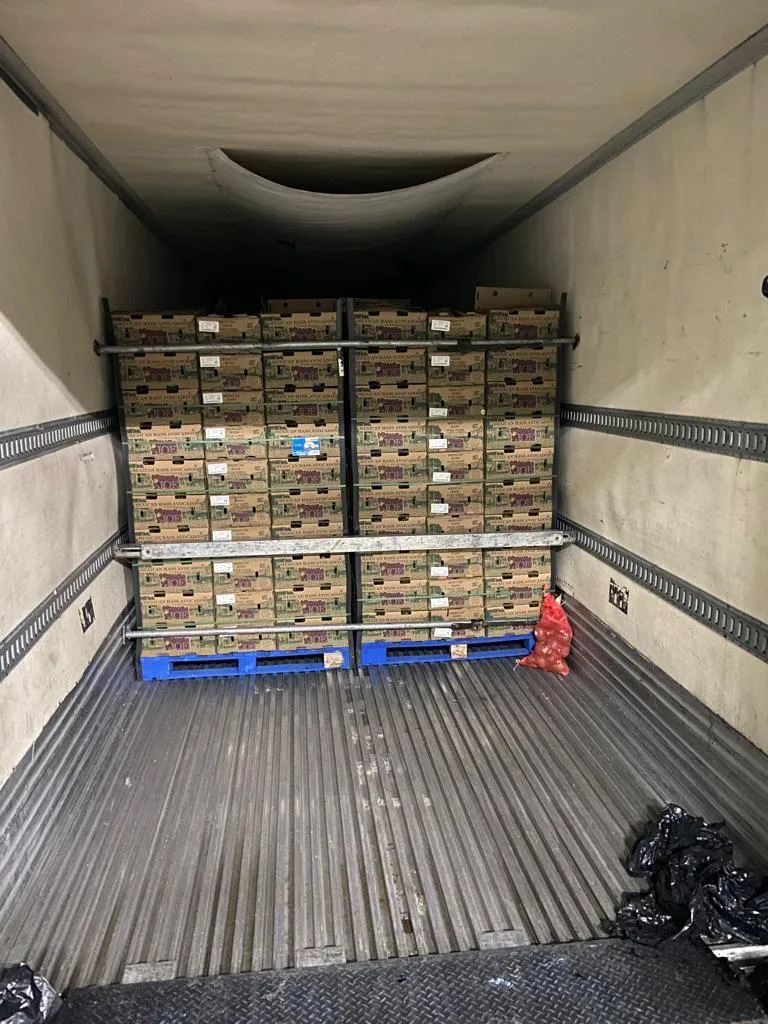Variedad de frutas y verduras empaquetadas bajo cadena de frío en frutas y verduras, preservando apariencia, nutrientes y vida útil hasta entrega.