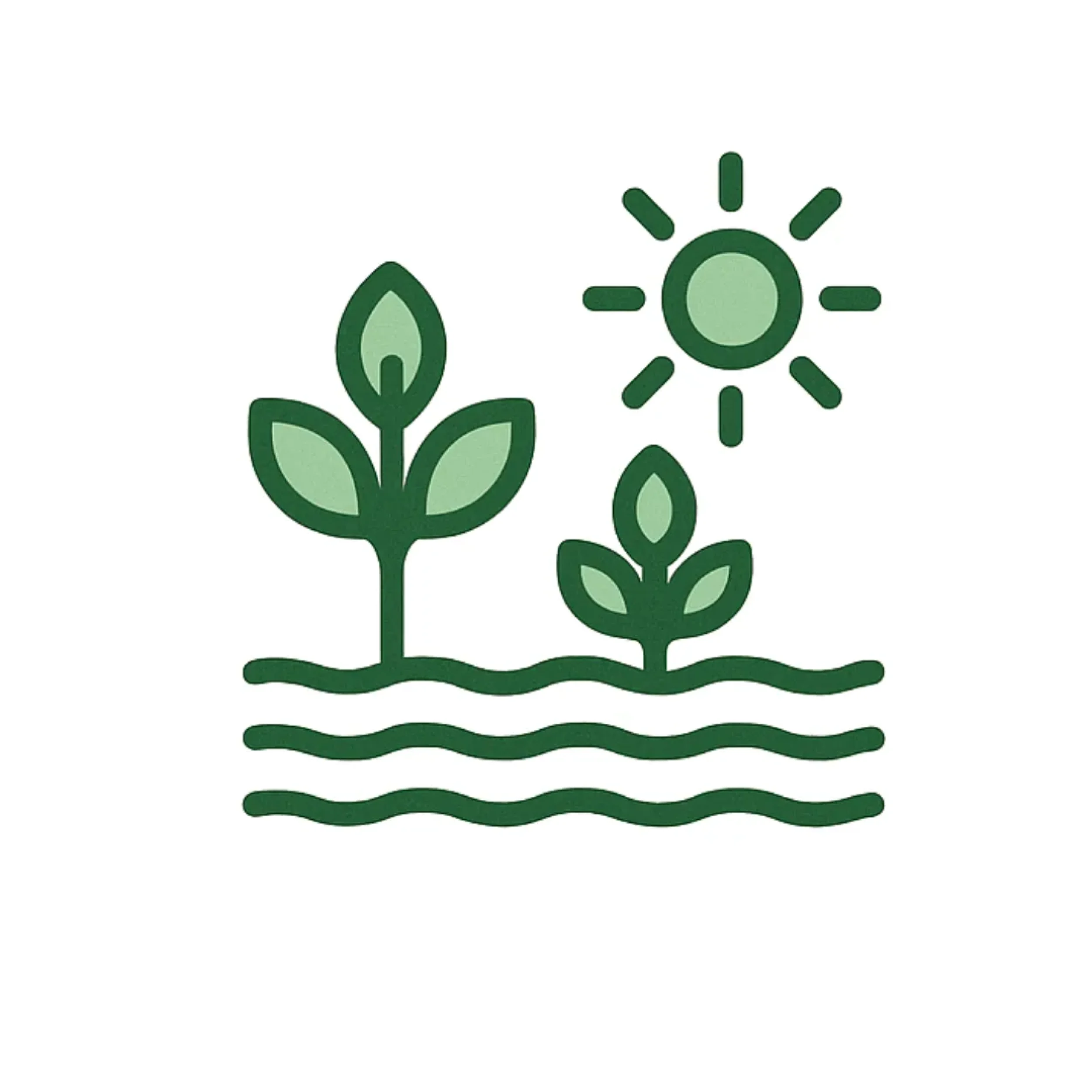 Growing areas and ideal conditions Icon.